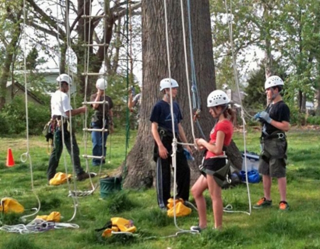  Arrampicarsi su un albero